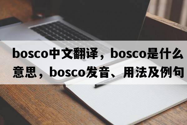 Bosco中文翻譯，Bosco是什么意思，Bosco發(fā)音、用法及例句
