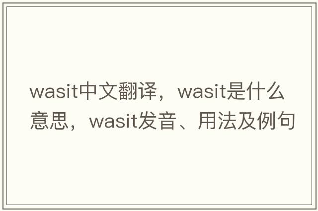 Wasit中文翻譯，Wasit是什么意思，Wasit發(fā)音、用法及例句