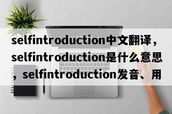 selfintroduction中文翻譯，selfintroduction是什么意思，selfintroduction發(fā)音、用法及例句