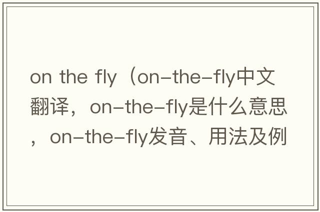 on the fly（on-the-fly中文翻譯，on-the-fly是什么意思，on-the-fly發(fā)音、用法及例句）