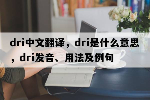 dri中文翻譯，dri是什么意思，dri發(fā)音、用法及例句