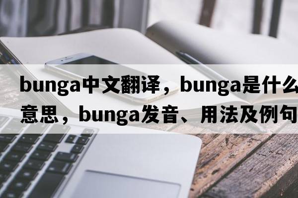 Bunga中文翻譯，Bunga是什么意思，Bunga發(fā)音、用法及例句