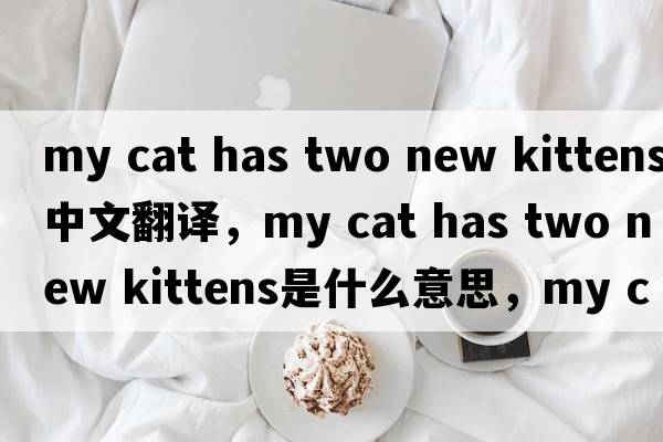 my cat has two new kittens中文翻譯，my cat has two new kittens是什么意思，my cat has two new kittens發(fā)音、用法及例句