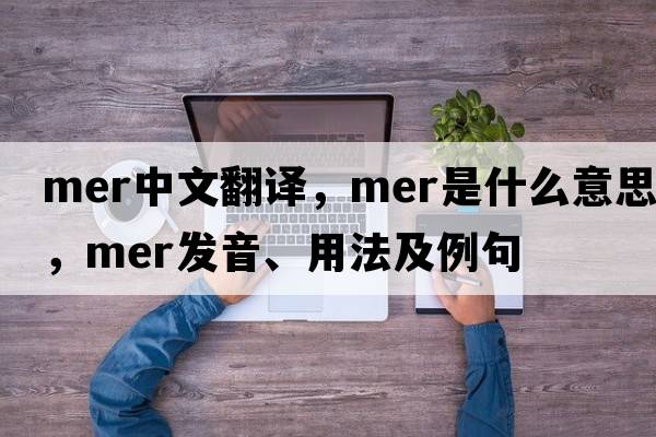 mer中文翻譯，mer是什么意思，mer發(fā)音、用法及例句